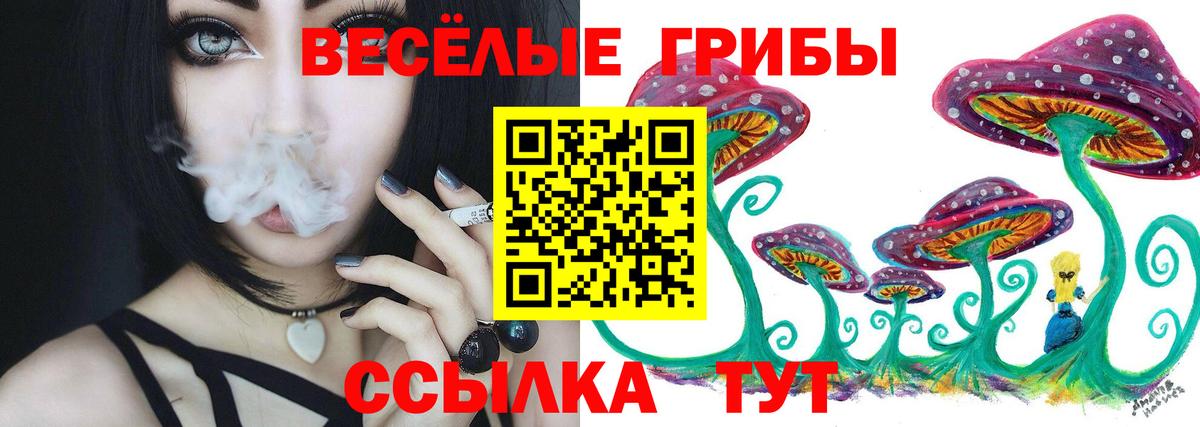 Псилоцибиновые грибы Cubensis Керчь